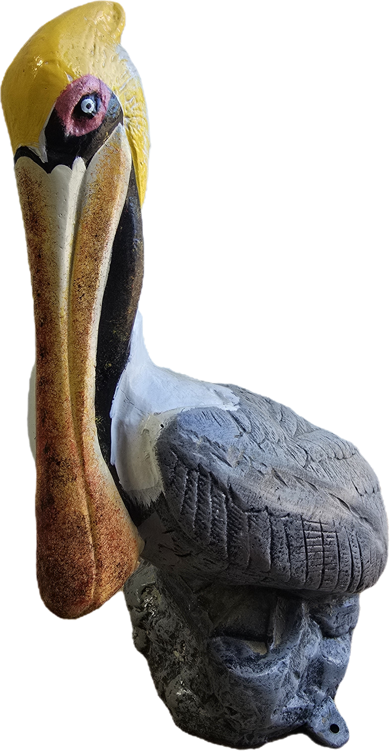 Pelican on Rock - Backyard Buddies