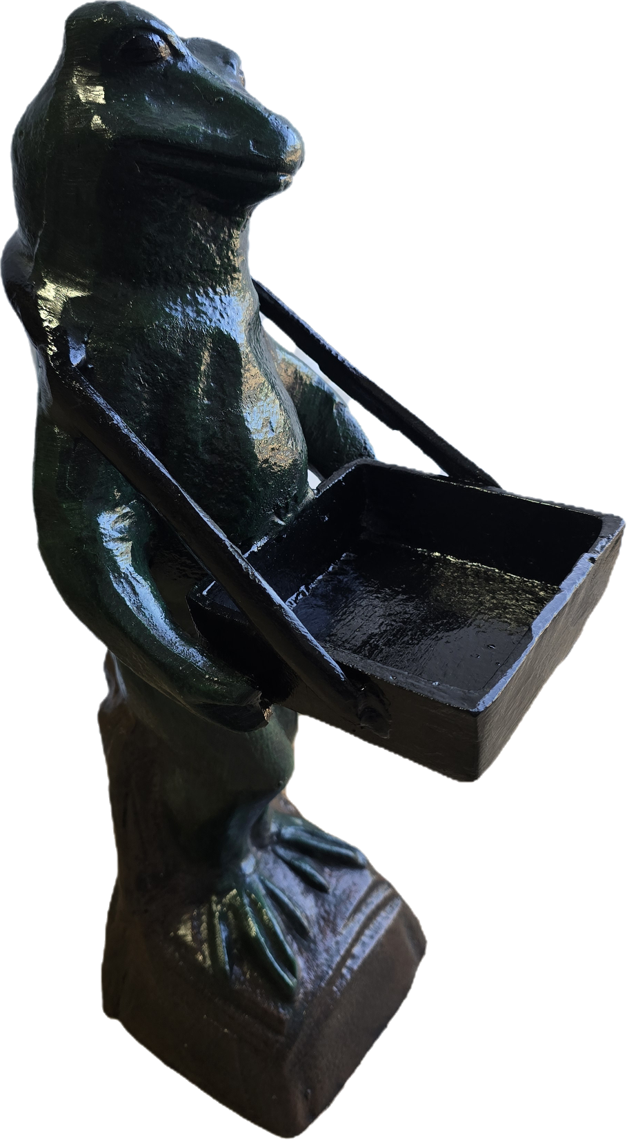 Serving Frog