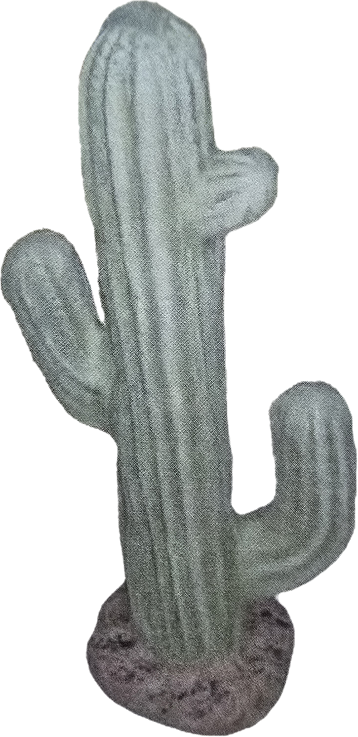 Small Saguaro Cactus - Backyard Buddies
