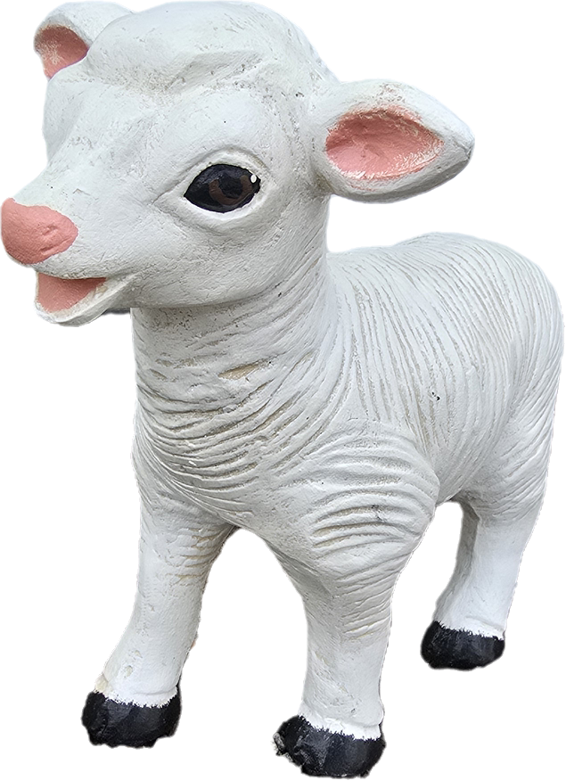 Baby Lamb - Backyard Buddies