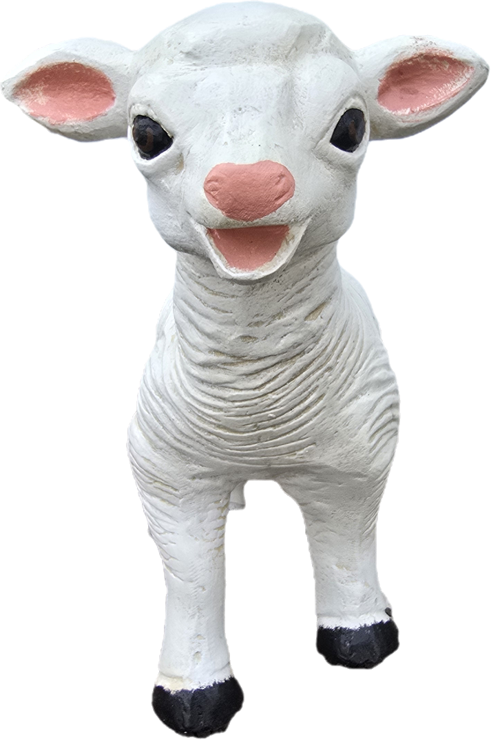 Baby Lamb - Backyard Buddies