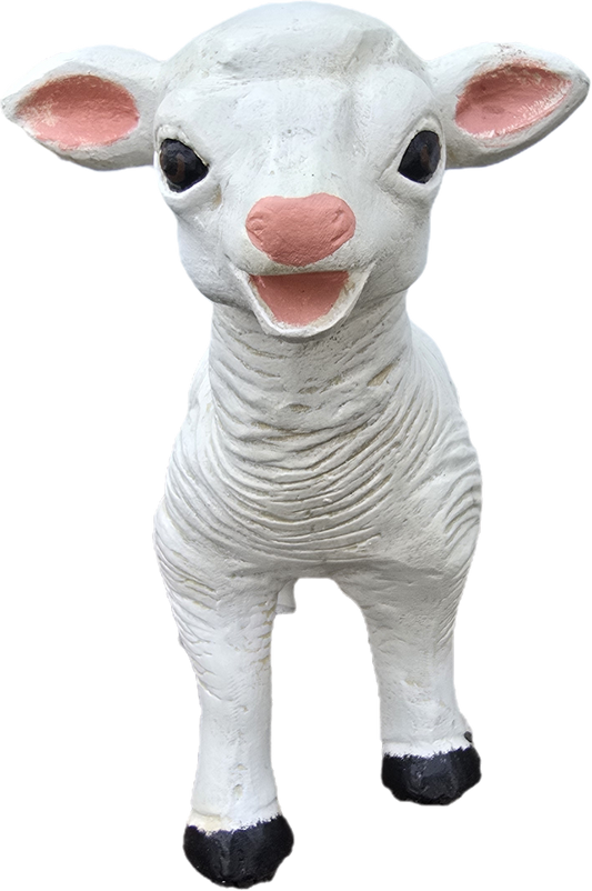 Baby Lamb - Backyard Buddies