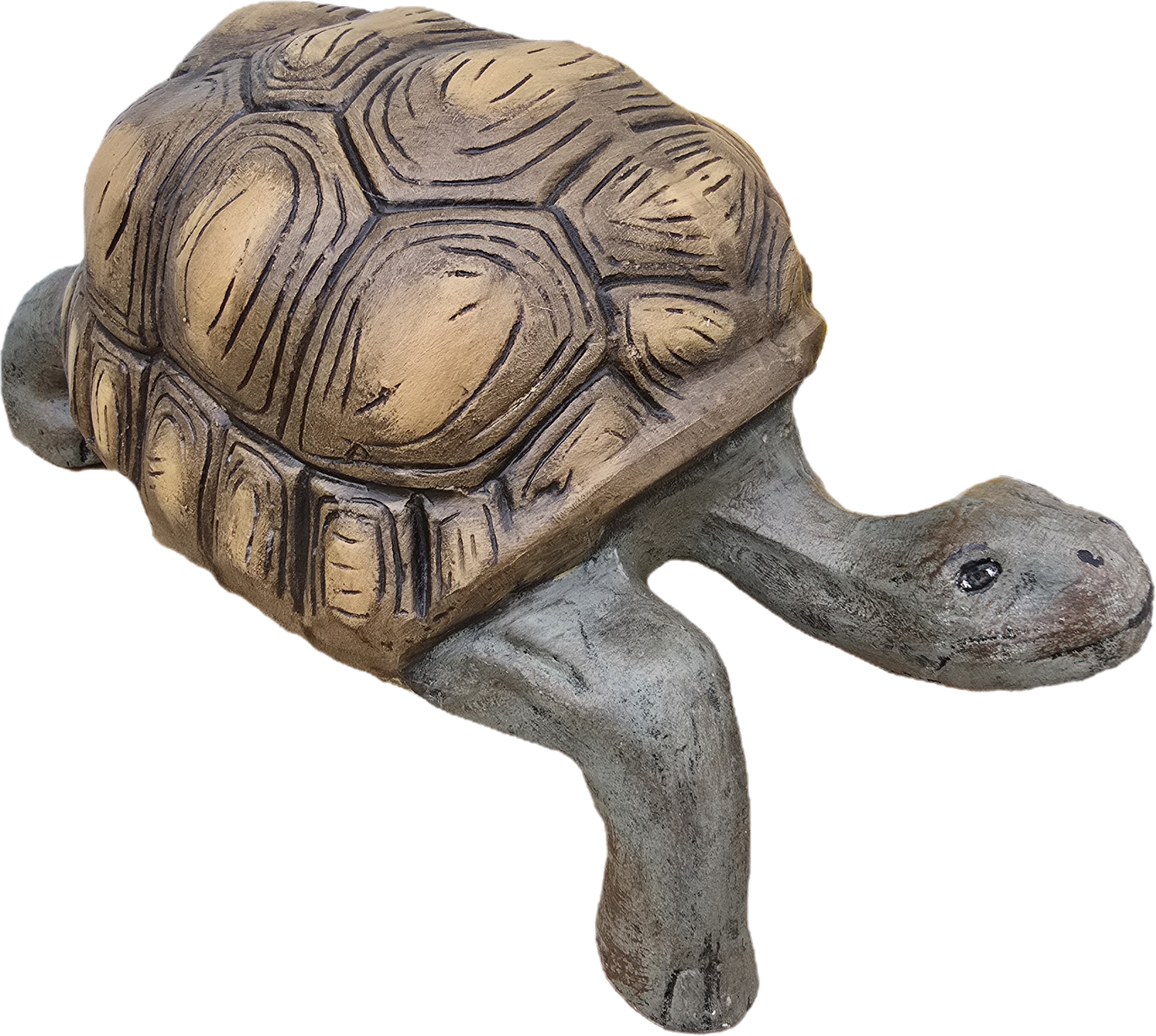 Turtle 21"