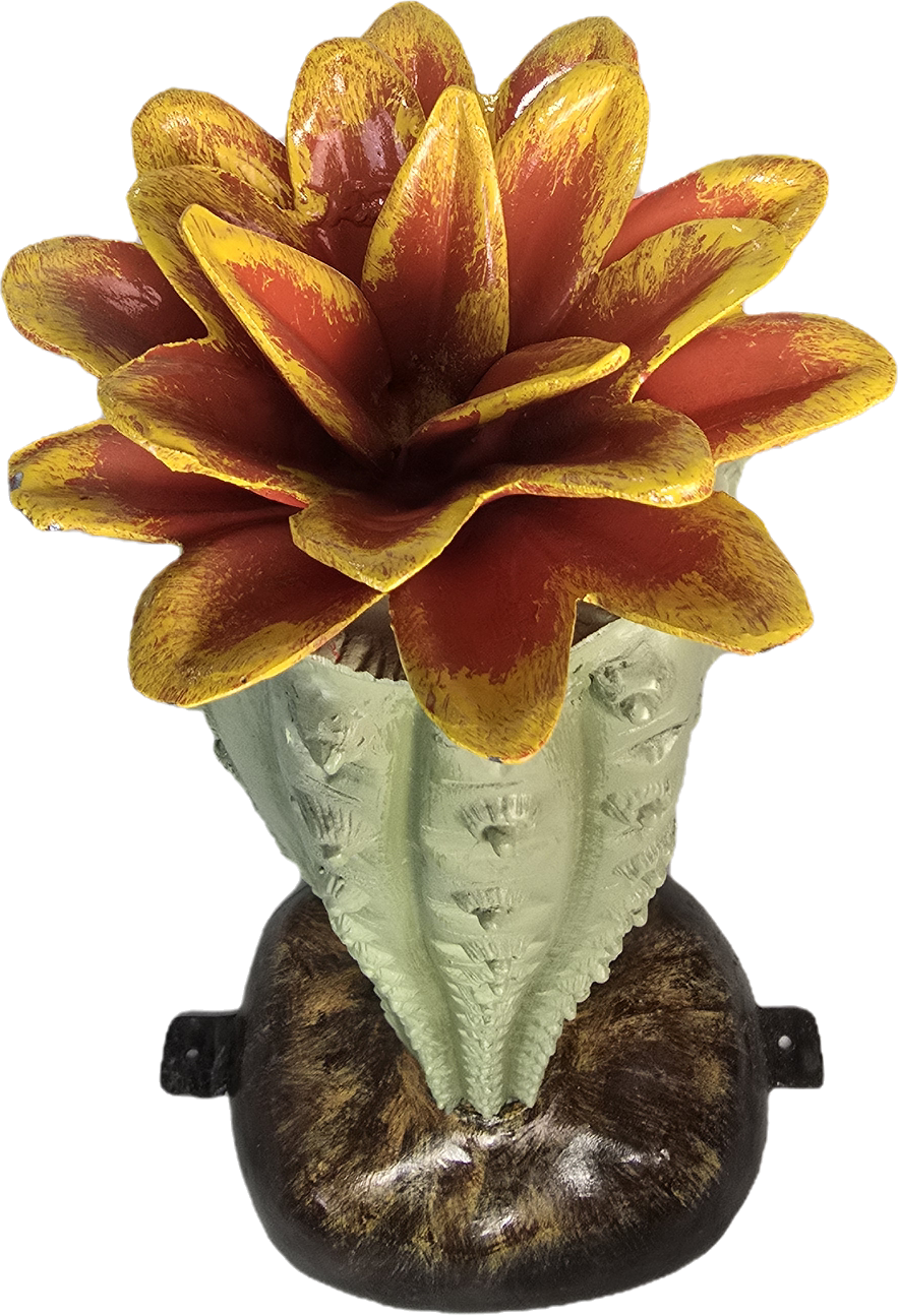 Cactus with Flower - Backyard Buddies