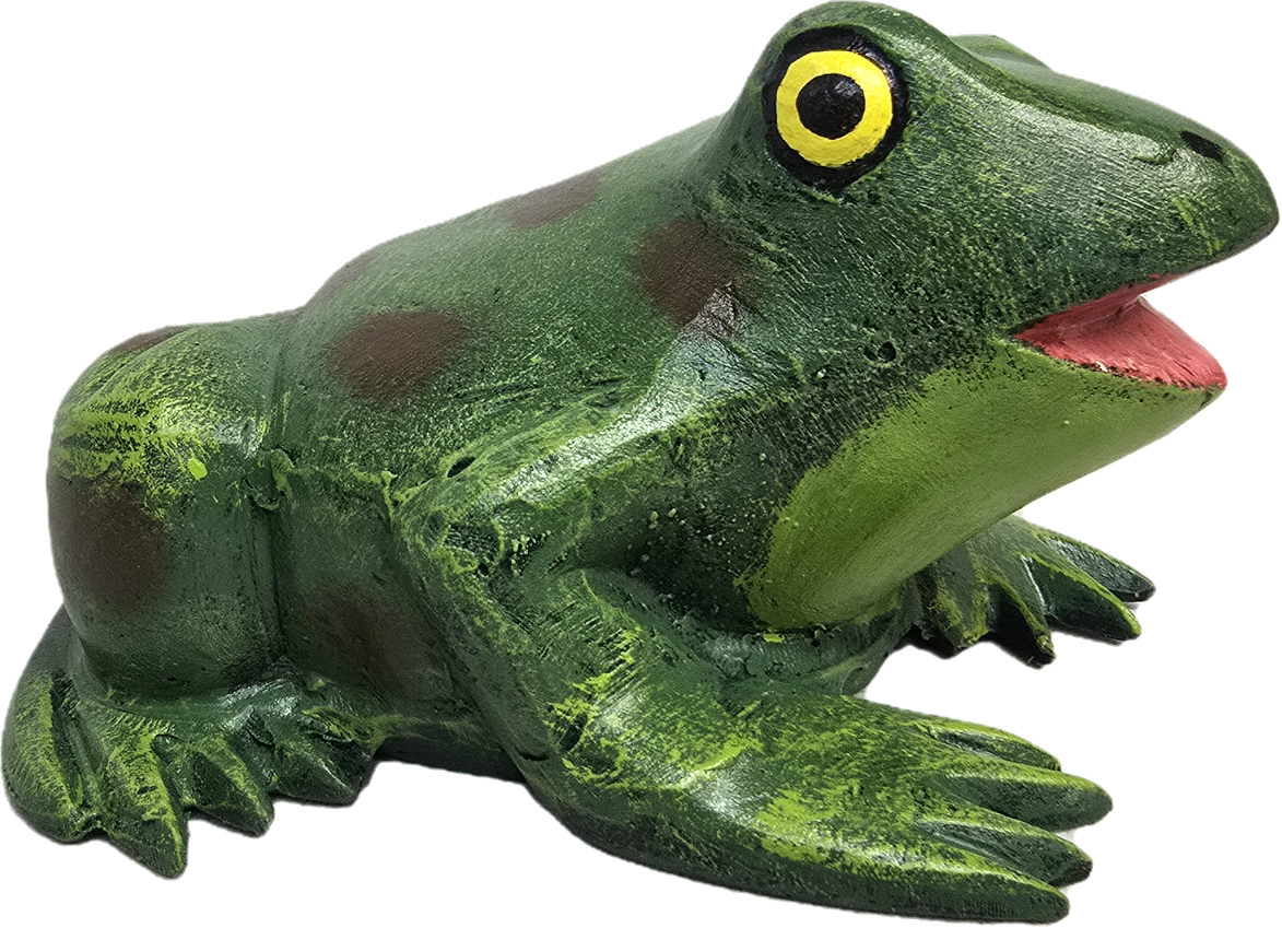 Sitting Frog