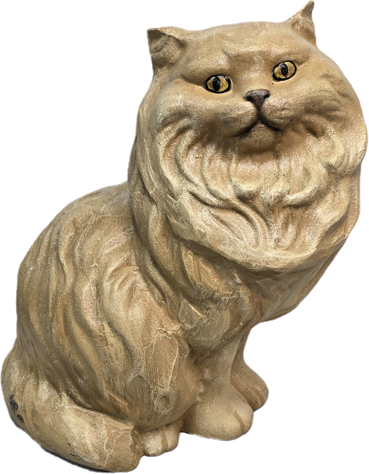 Persian Cat Baby