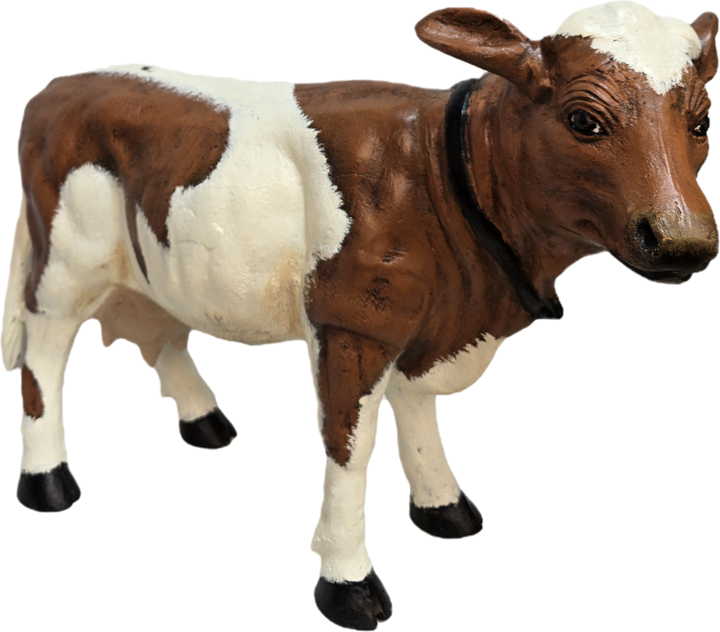 Little Cow No Horns