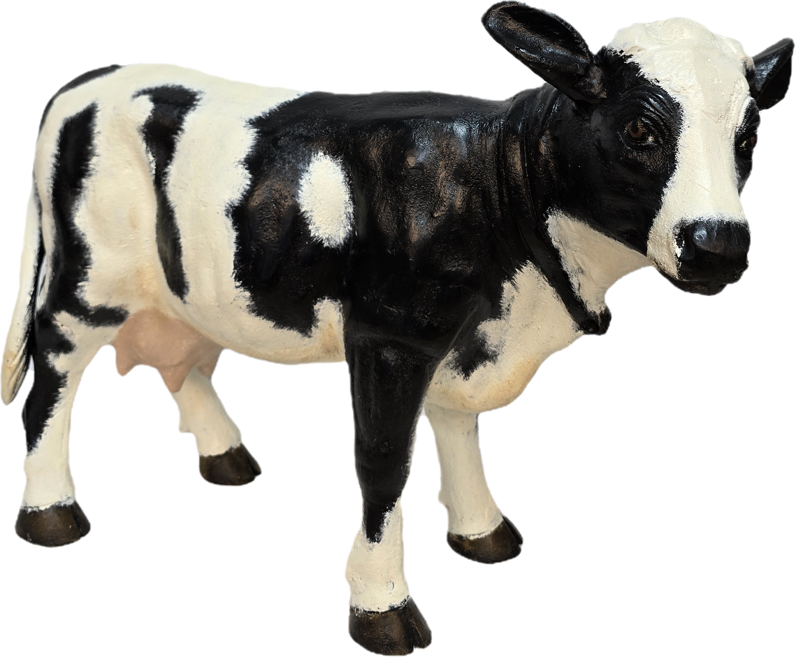 Little Cow No Horns
