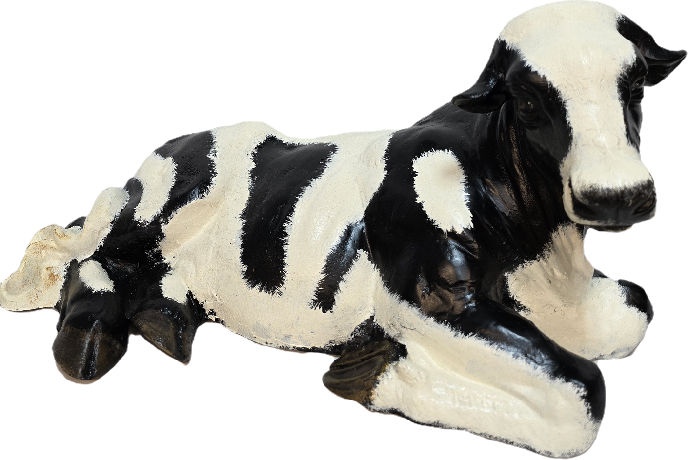 Small Laying Down Calf No Horns
