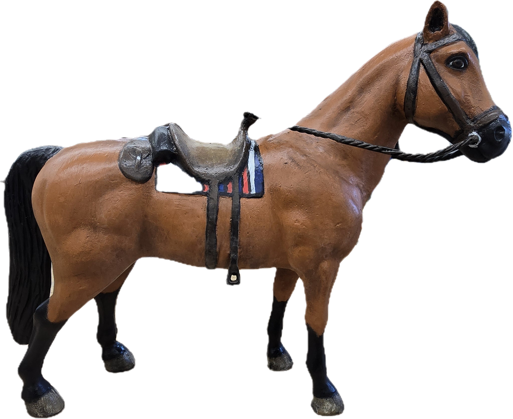 Saddle Horse