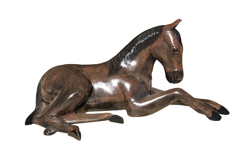 Laying Down Colt - Backyard Buddies