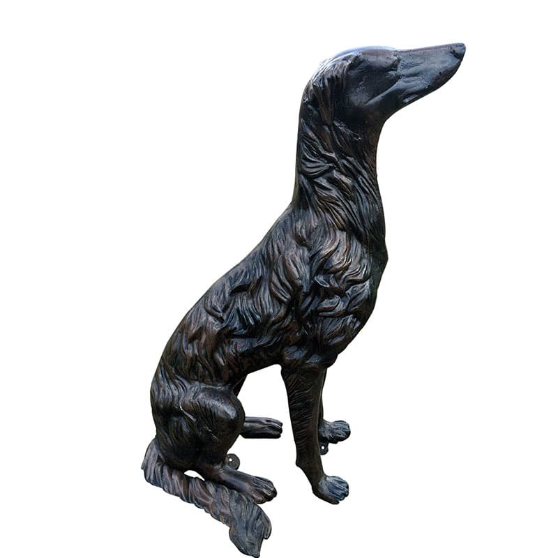 Whippet Dog - Backyard Buddies