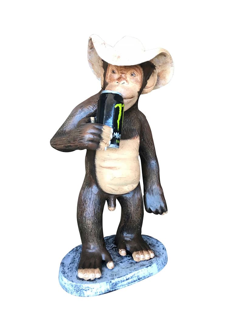 Cool Monkey - Backyard Buddies