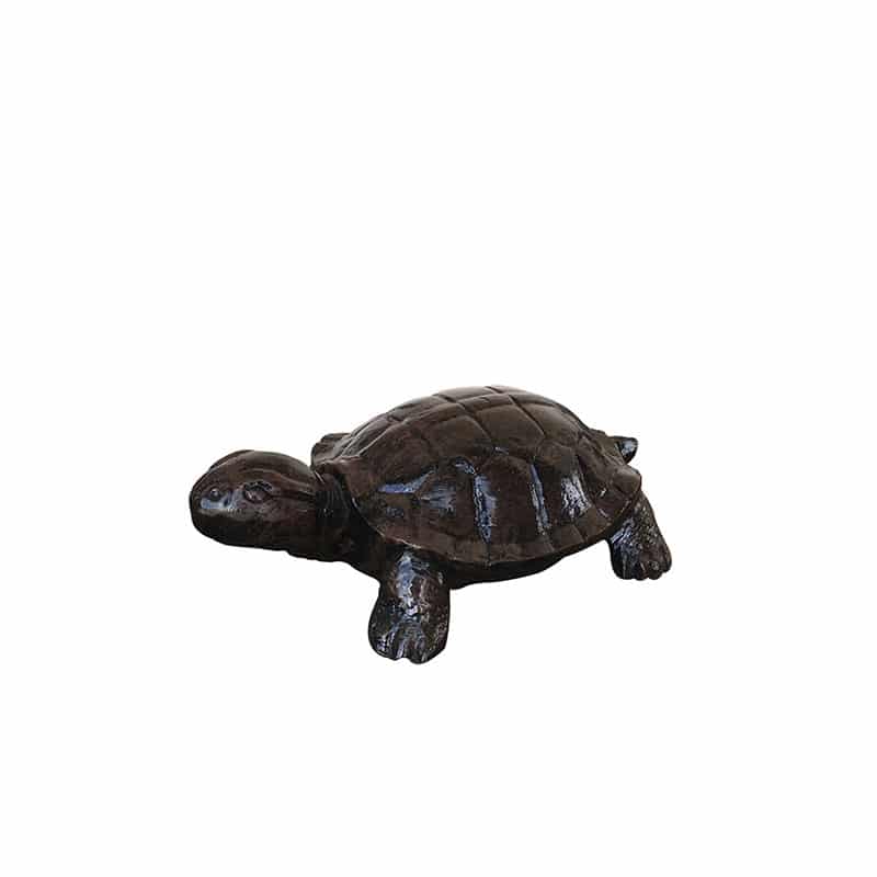 Tiny Turtle