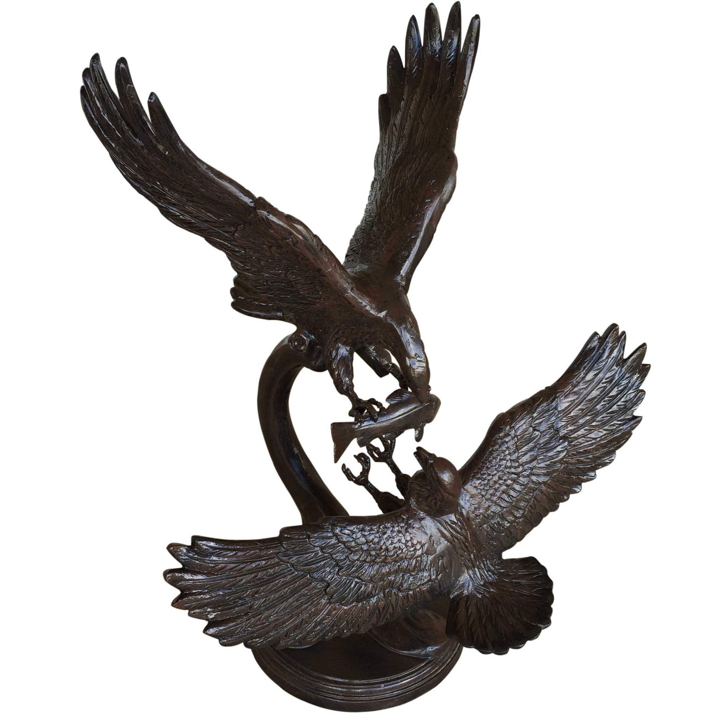 Fighting Eagles with Fish - Backyard Buddies