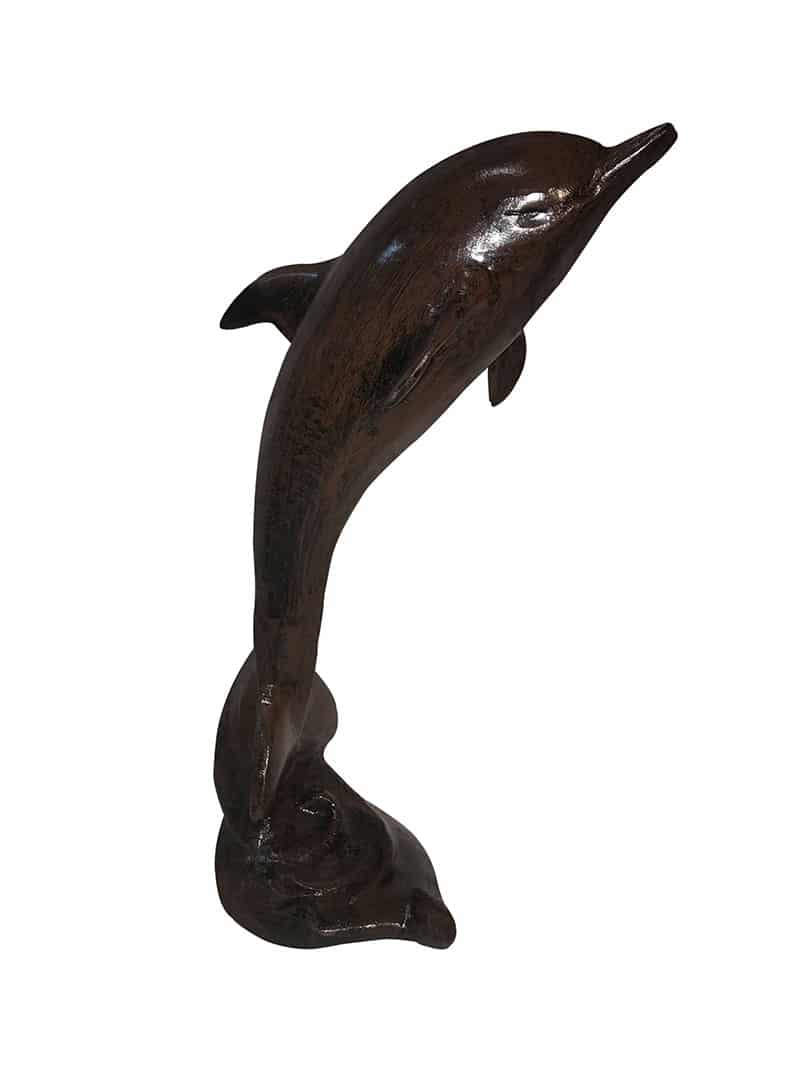 Desktop Dolphin - Backyard Buddies