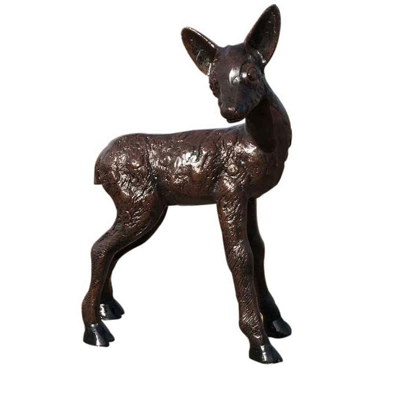Baby Deer