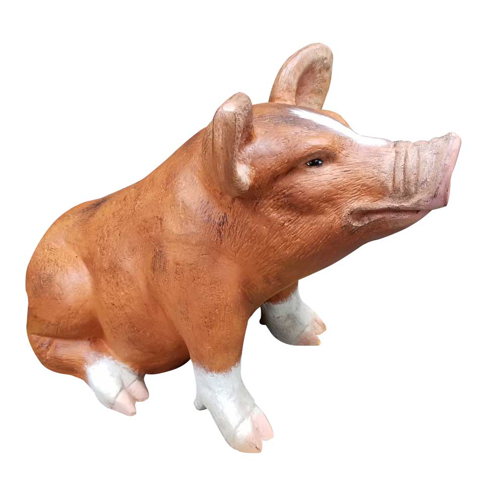 Baby Sitting Pig - Backyard Buddies