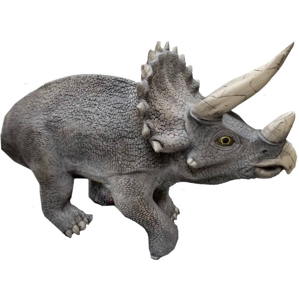 Baby Triceratops