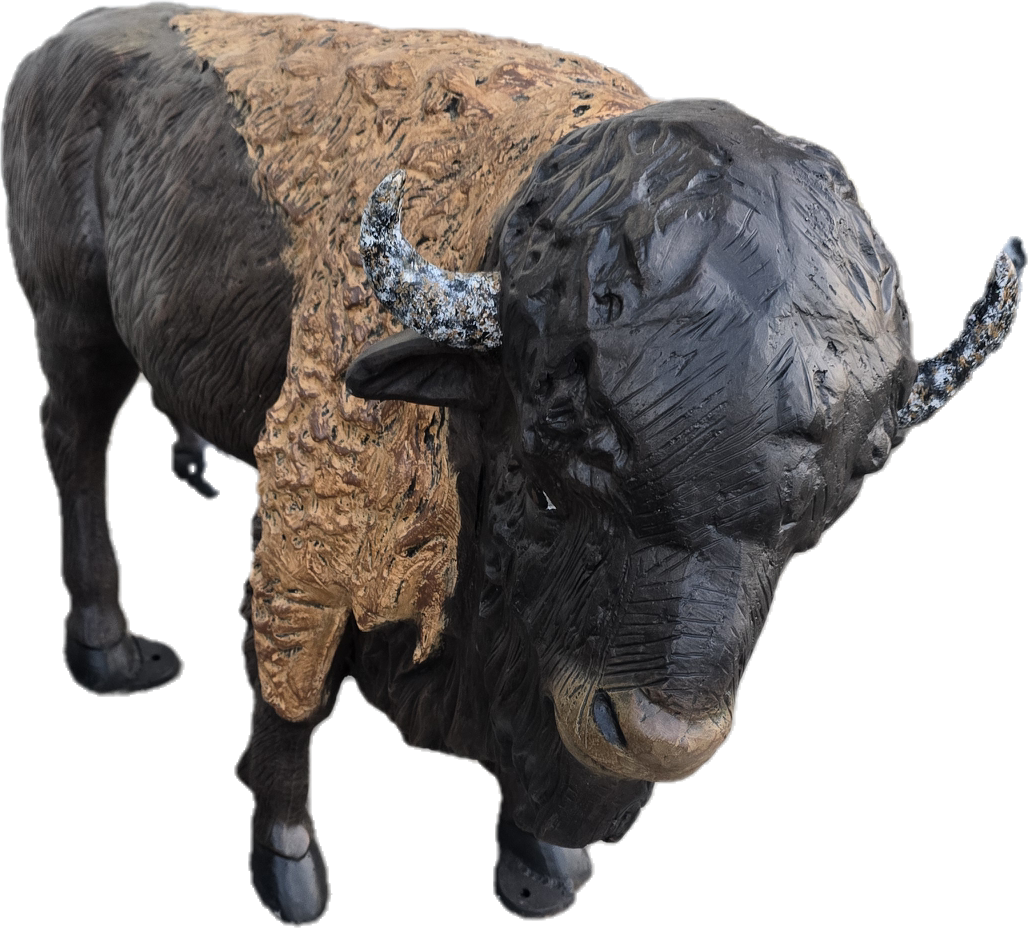 Buffalo Calf