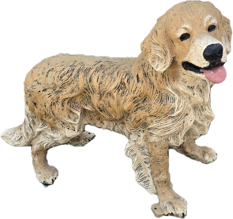 Springer Spaniel - Backyard Buddies