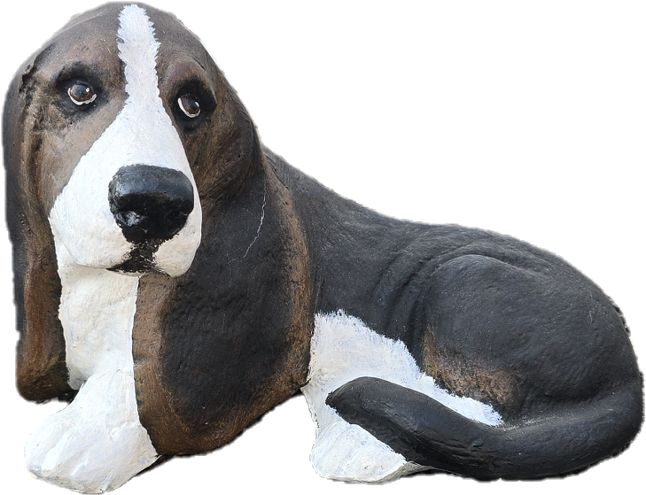 Baby Basset Hound - Backyard Buddies