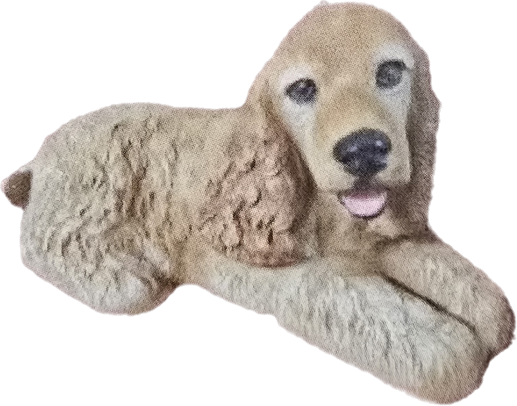 Baby Cocker (Springer) Spaniel - Backyard Buddies