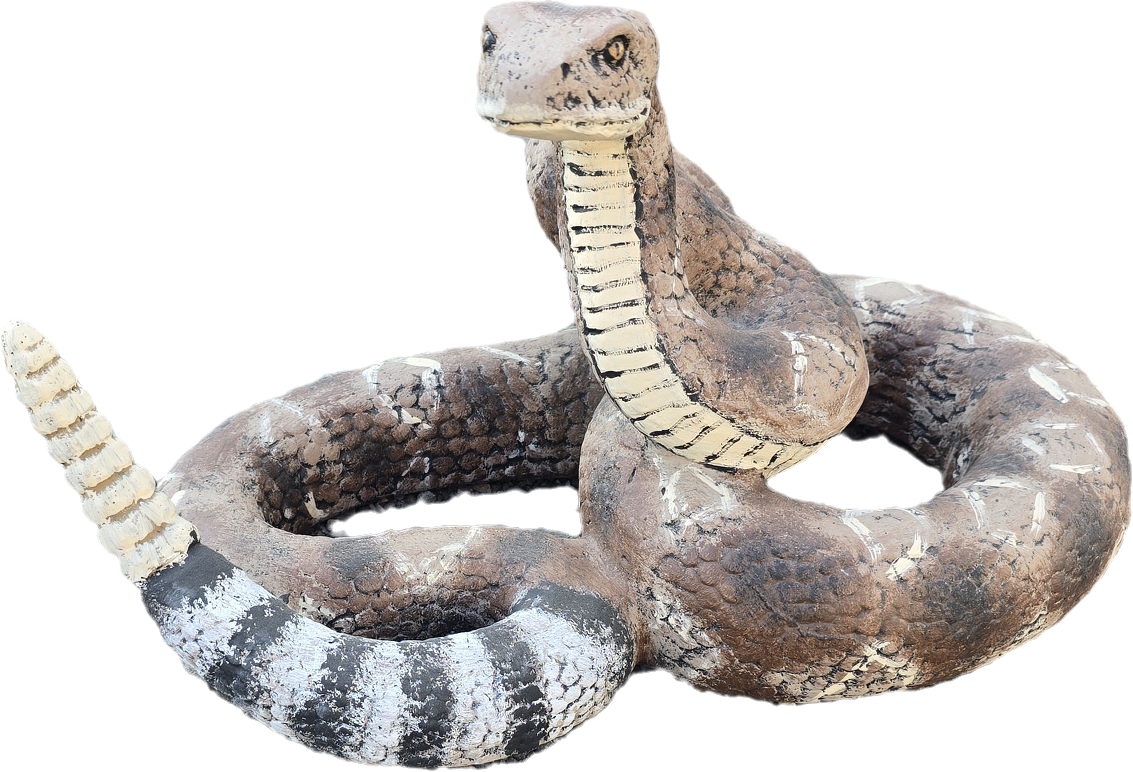 Rattle Snake - Backyard Buddies