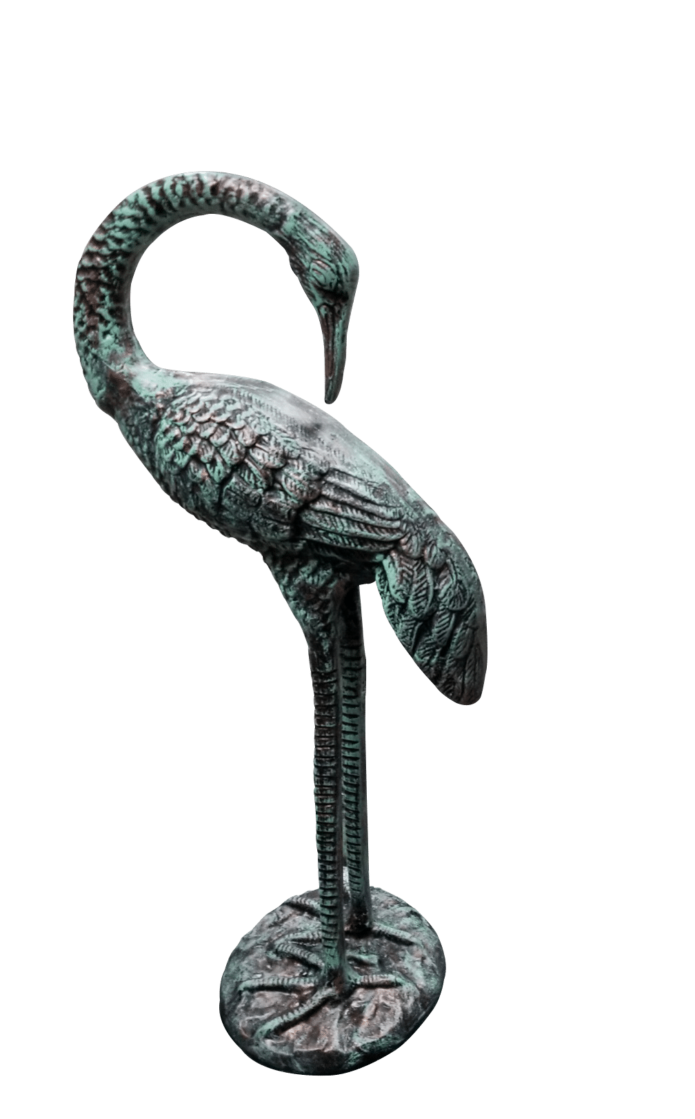 Standing Crane Head Turned Back