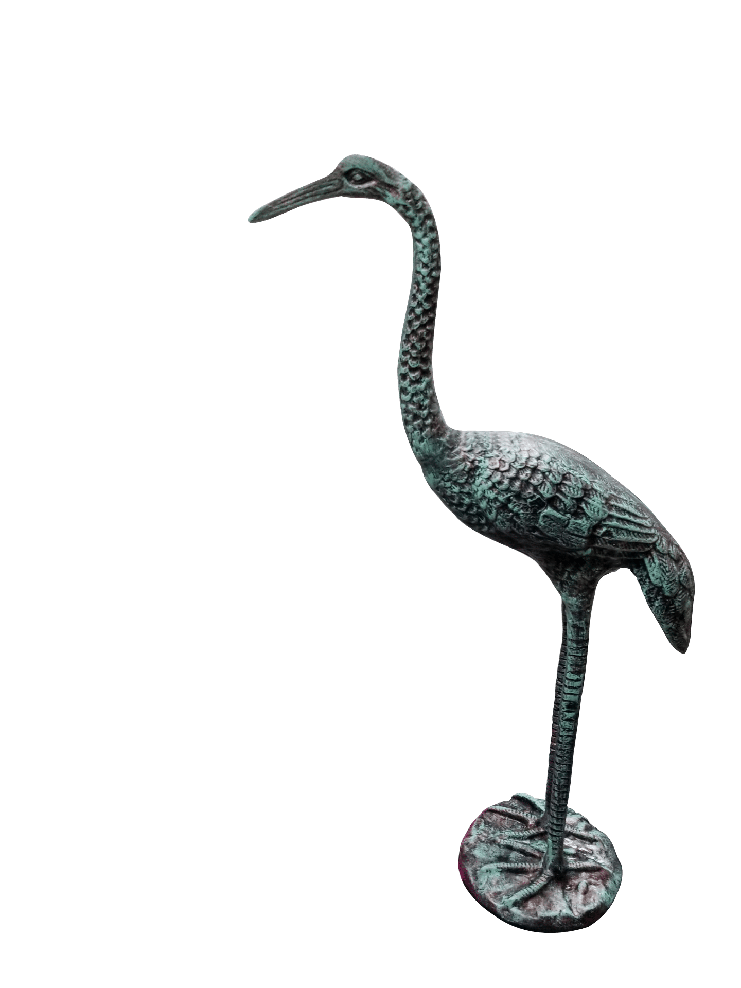 Standing Crane Head Up