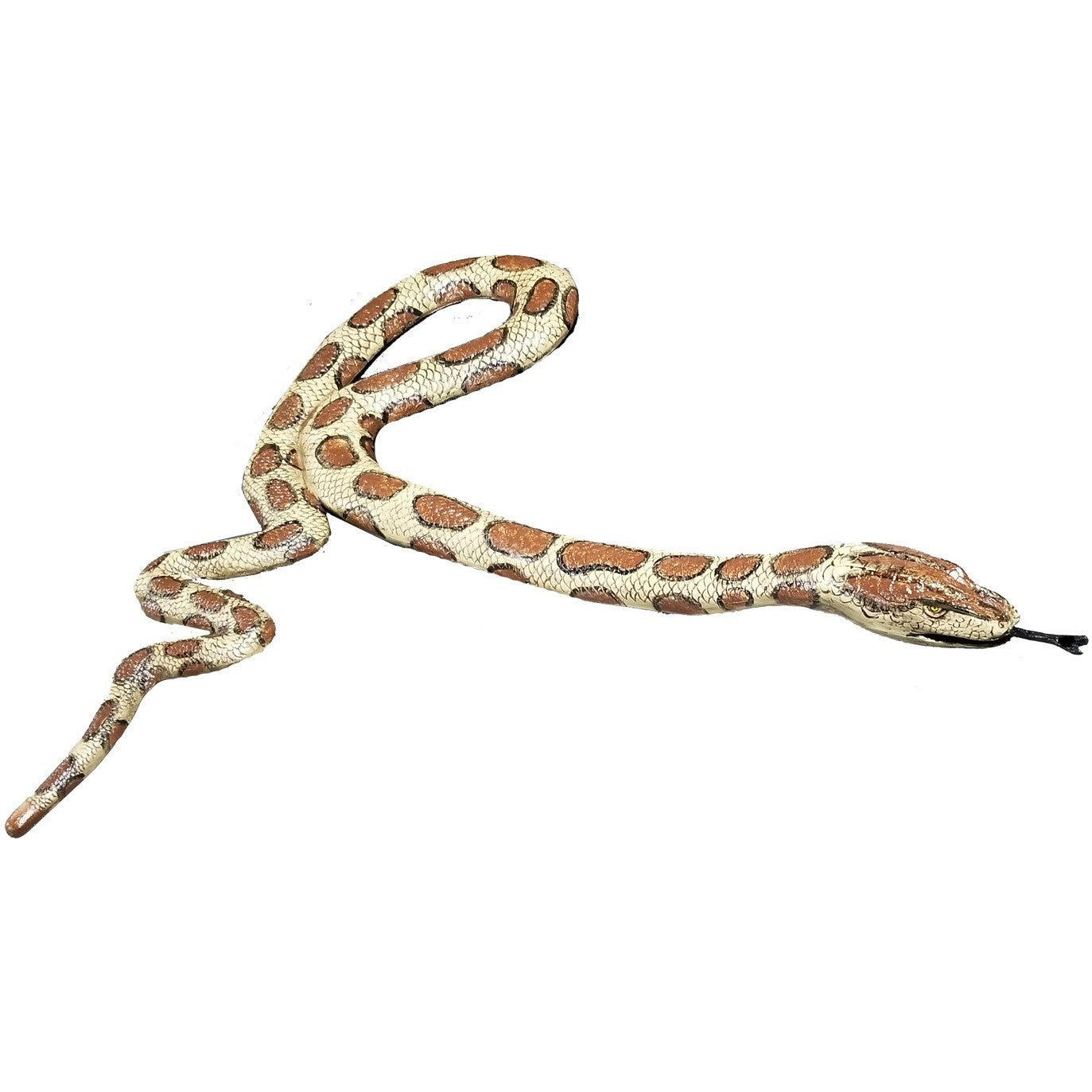 Flat Anaconda