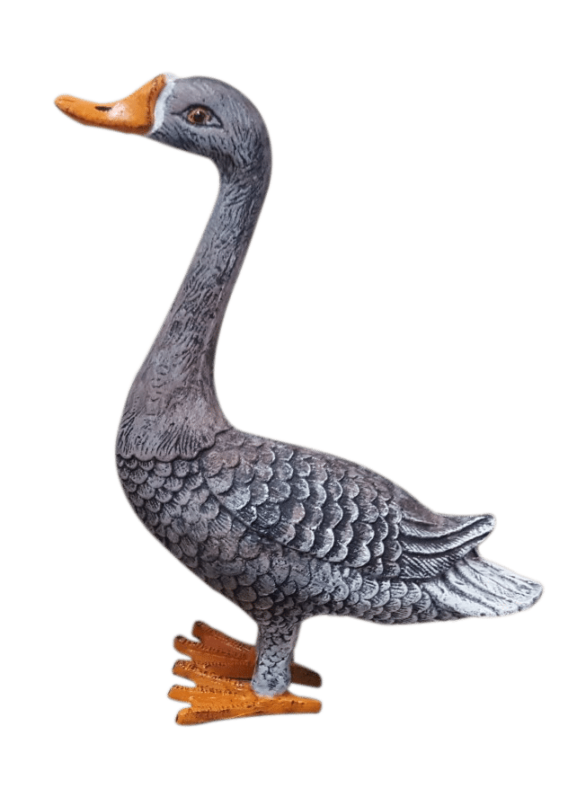 Standing Goose Head Up
