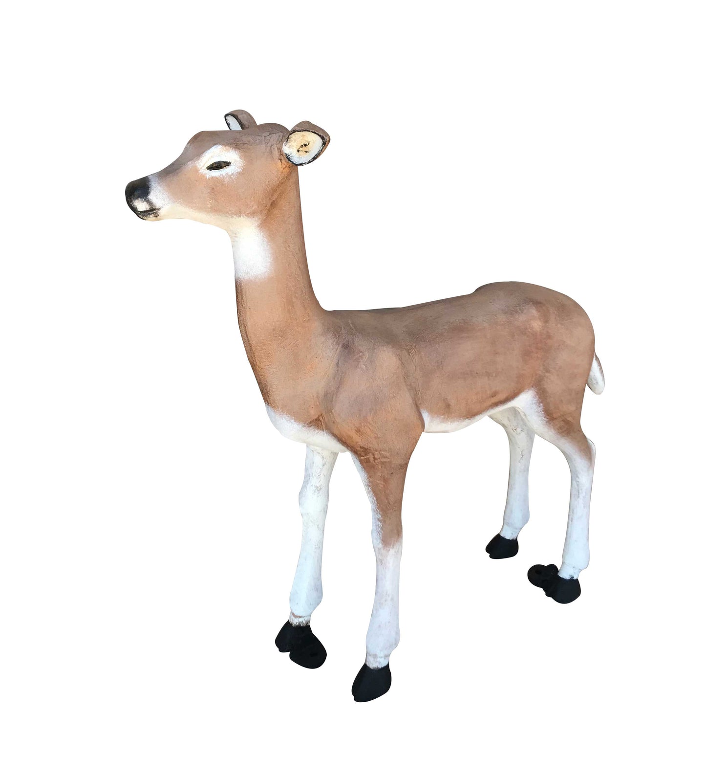 Smooth Fawn
