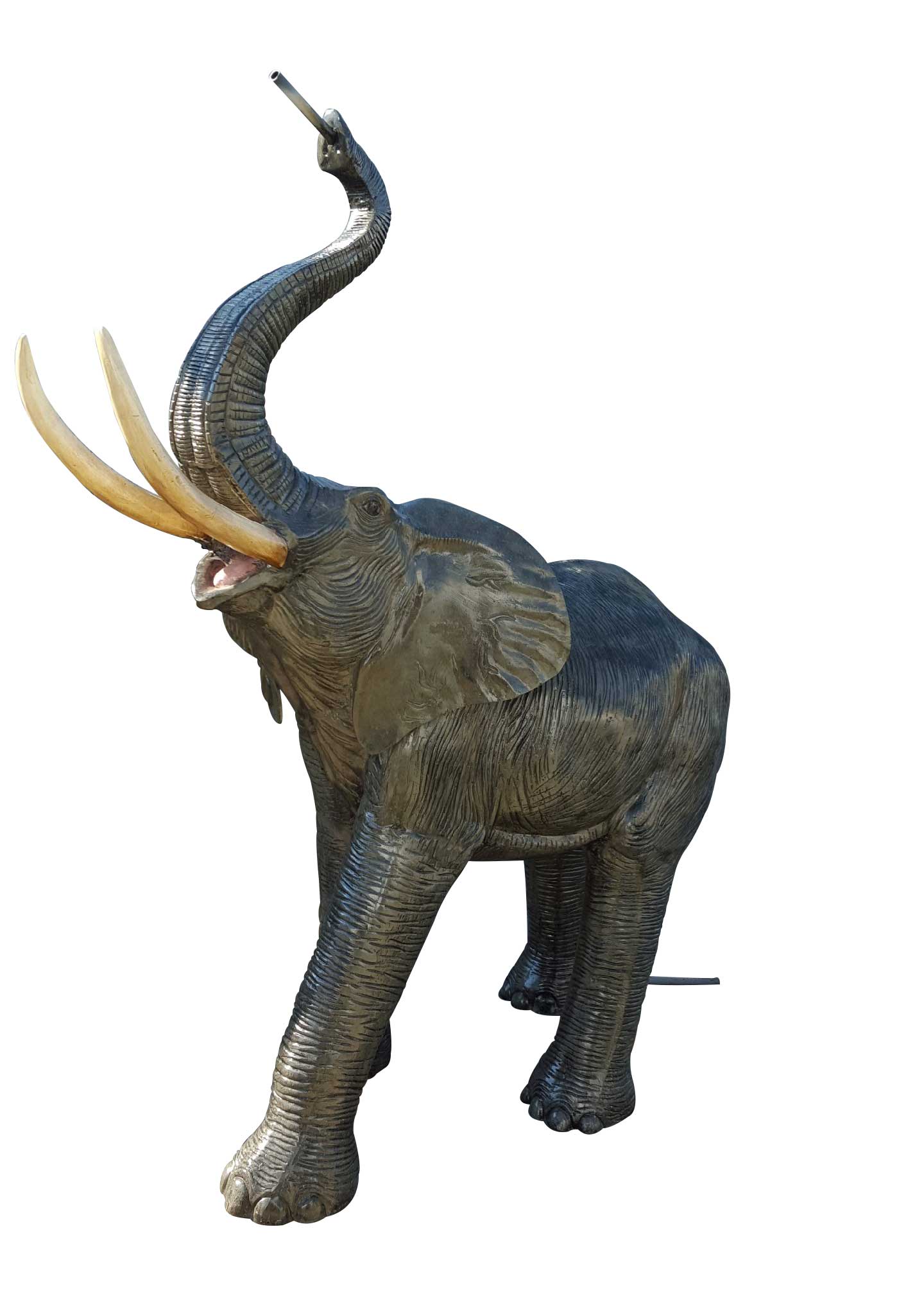 Medium Elephant