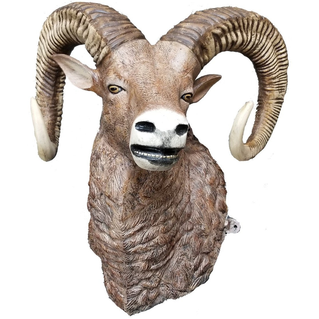 Ram Head Wall Mount