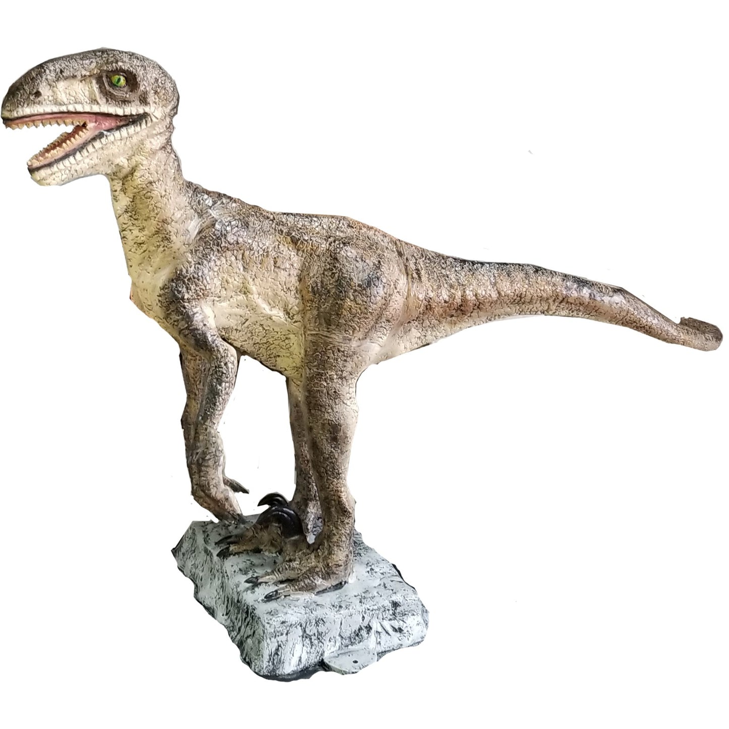 3.5' Raptor on Base