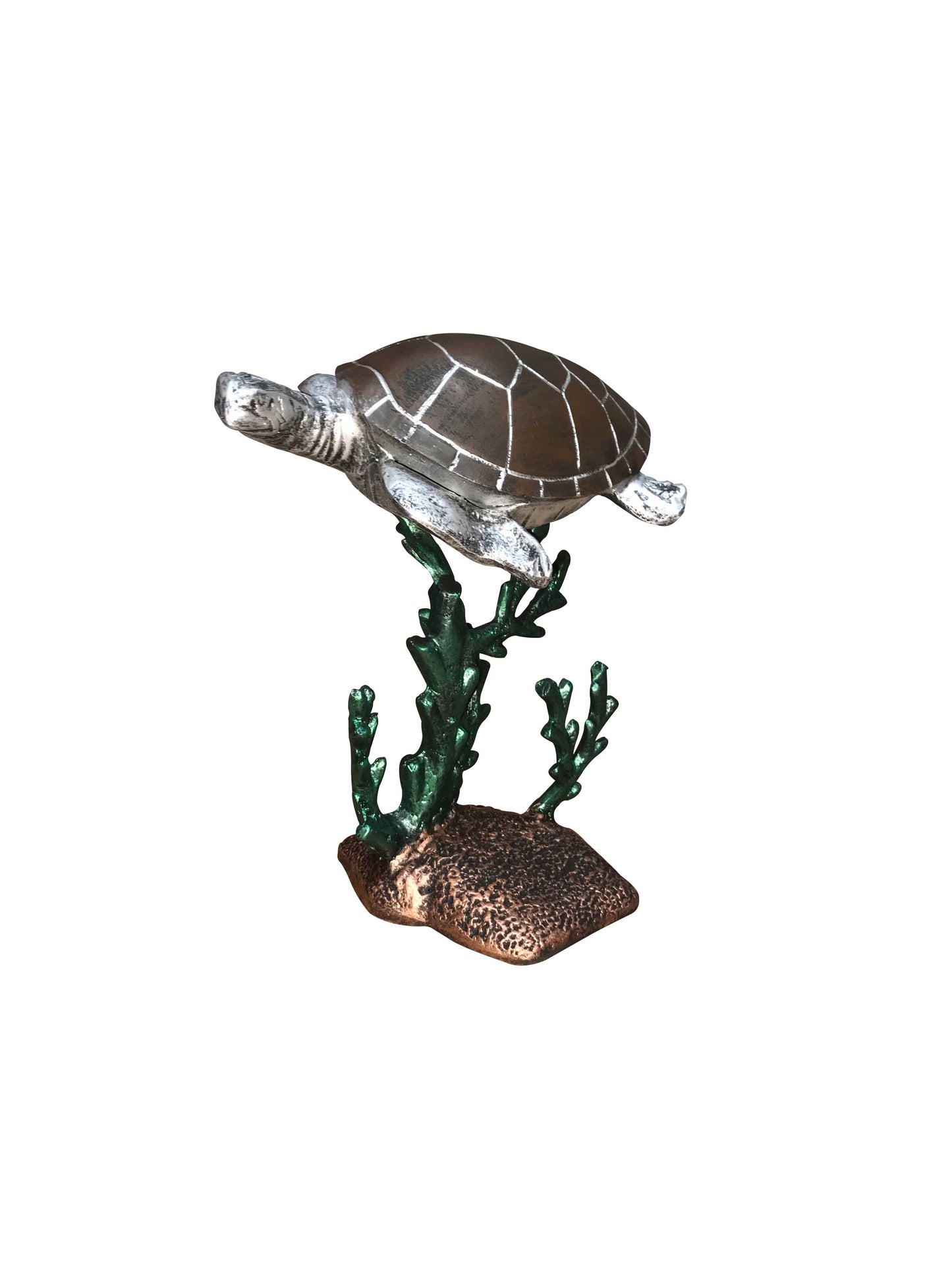 Sea Turtle on Coral Reef - Backyard Buddies