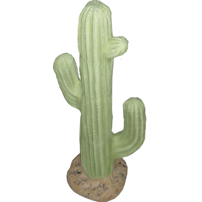 Small Saguaro Cactus