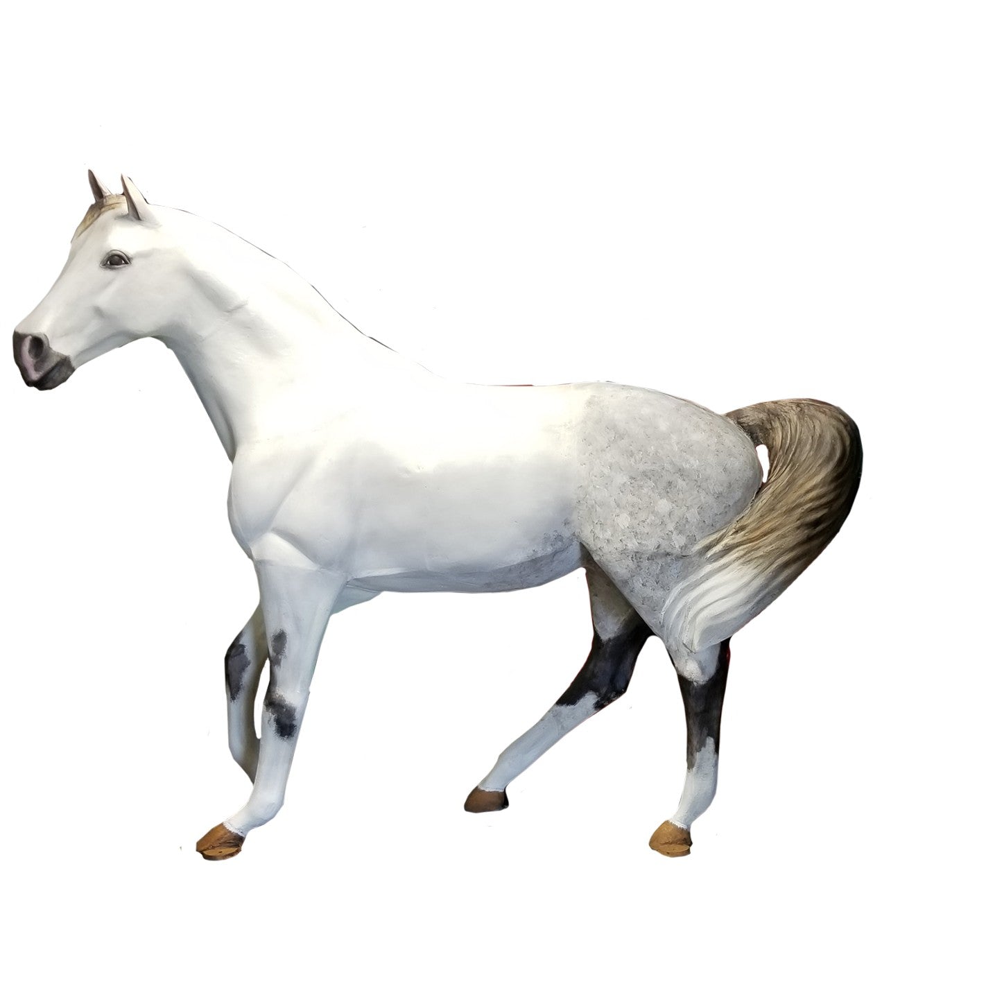 Wild Mustang