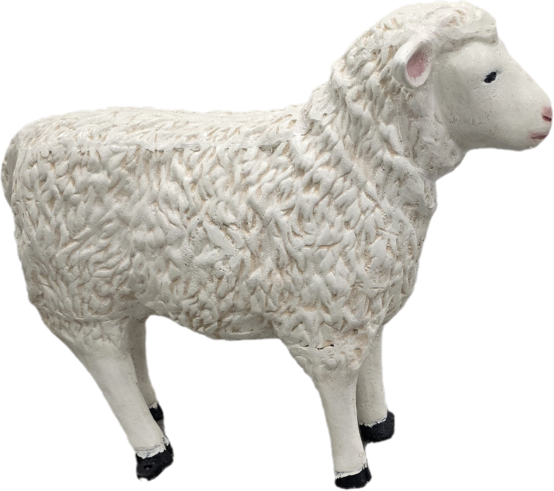 Sheep 23"