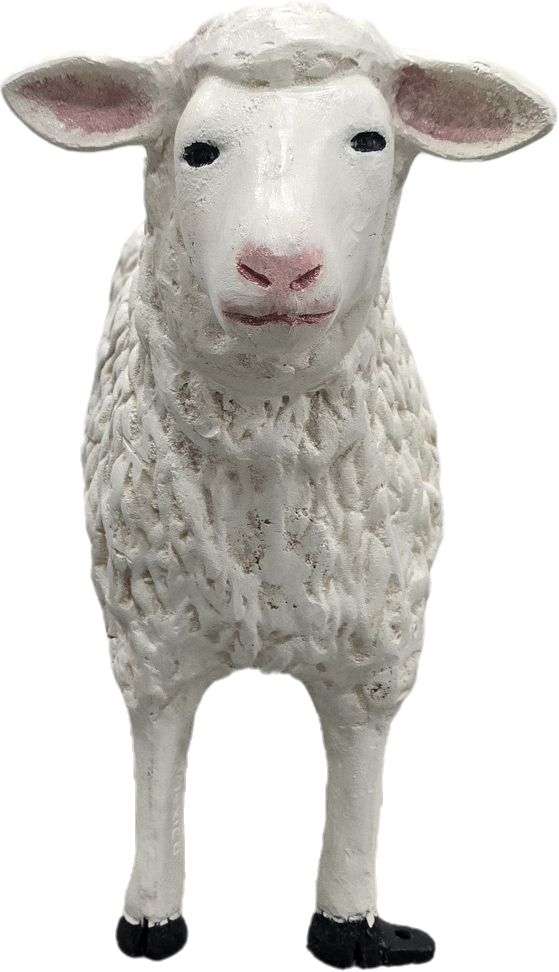 Sheep 23"