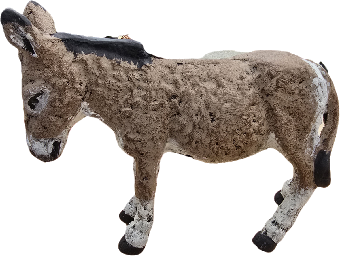 Mini Donkey