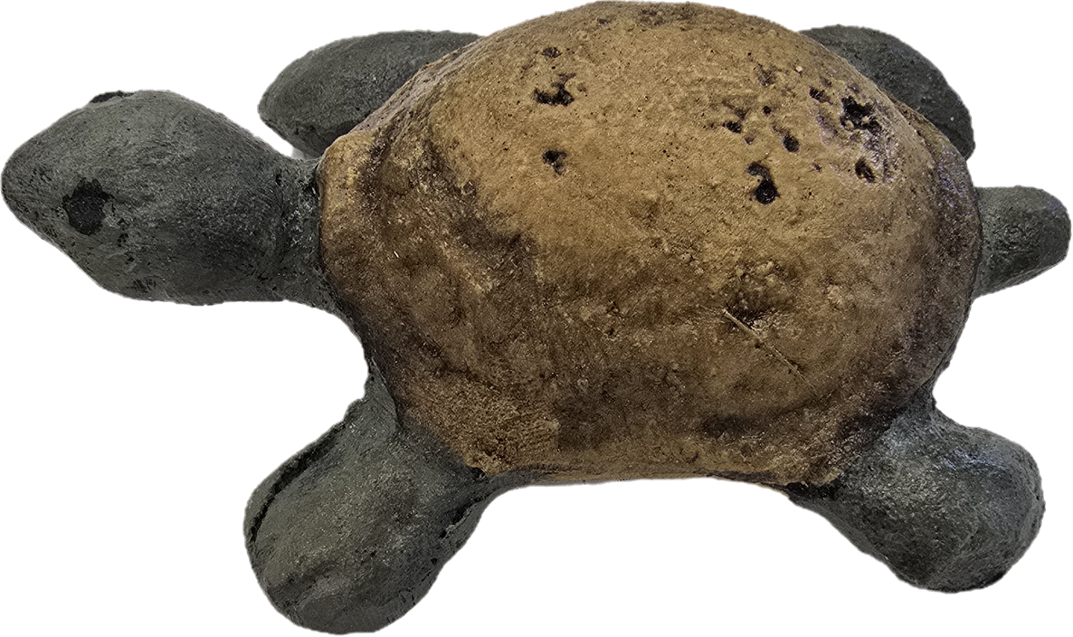 Tiny Turtle