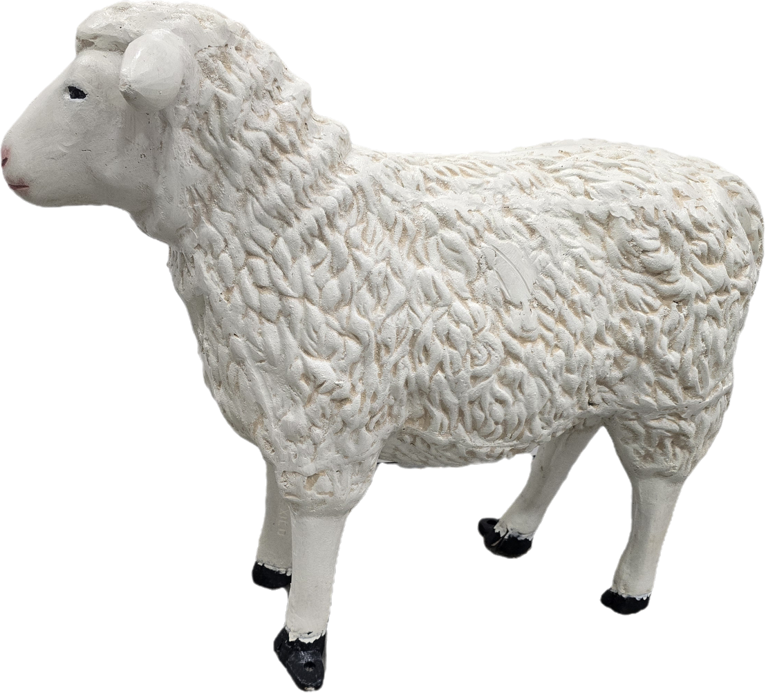 Sheep 23"