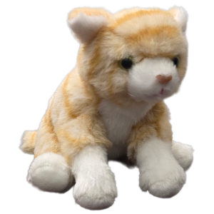 Canned Tabby Cat Orange