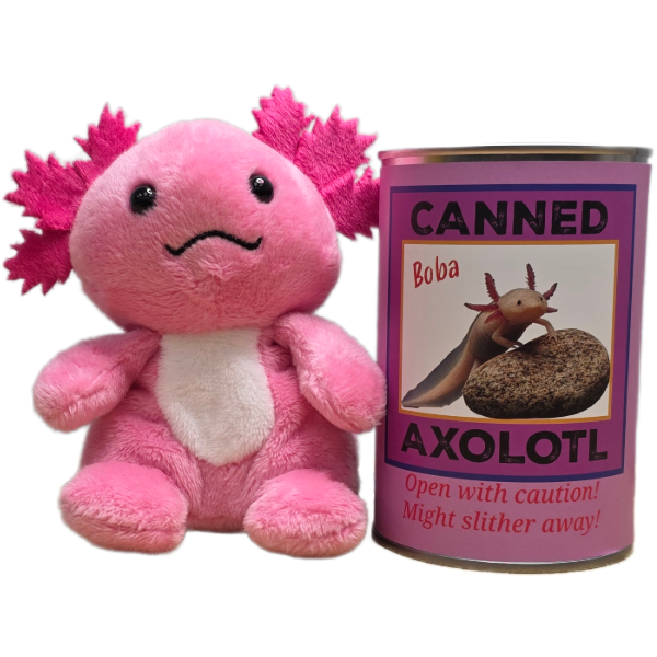 Pink plush axolotl toy beside canned axolotl novelty item