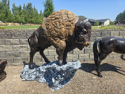 Medium Buffalo on Rock - Backyard Buddies