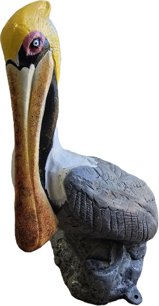 Pelican on Rock