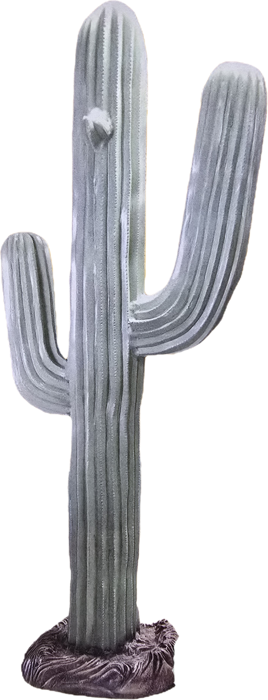 Large Saguaro Cactus