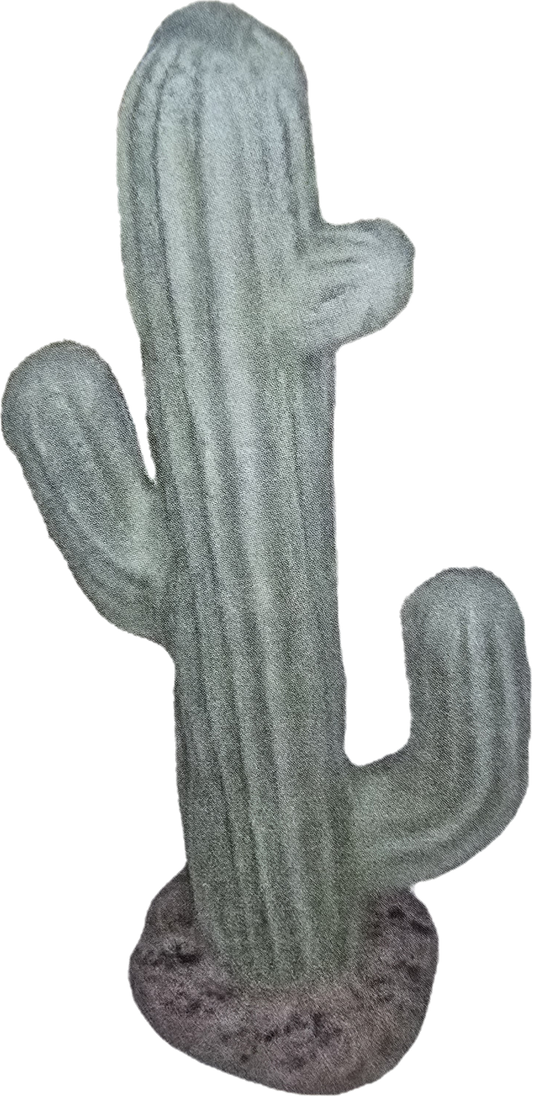 Small Saguaro Cactus